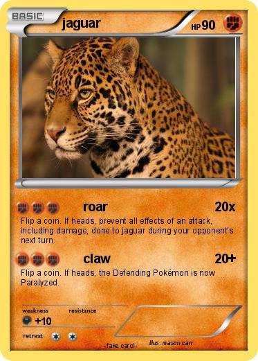 Pokemon jaguar