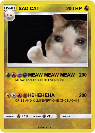 Pokemon SAD CAT