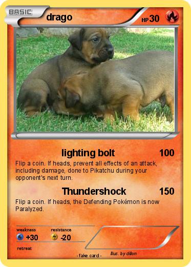 Pokemon drago