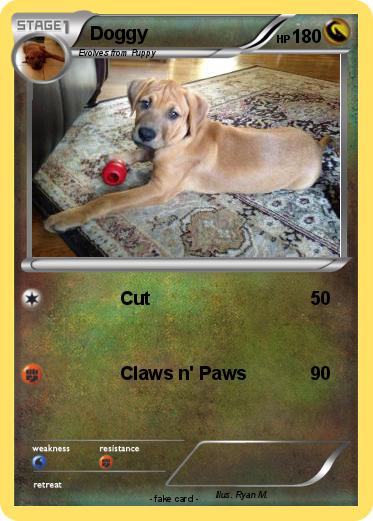 Pokemon Doggy