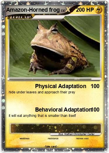 Pokemon Amazon-Horned frog