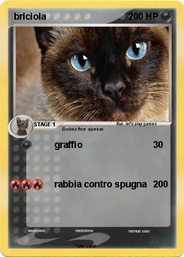 Pokemon briciola