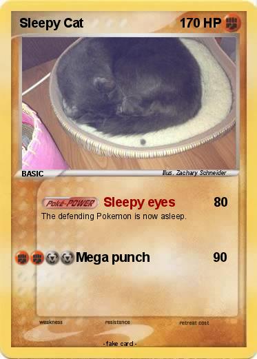 Pokemon Sleepy Cat