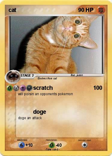 Pokemon cat