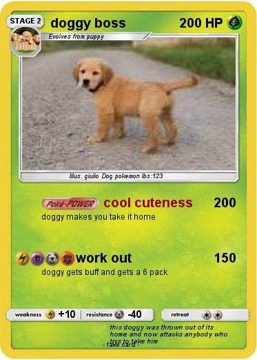 Pokemon doggy boss