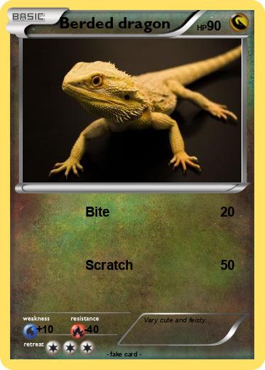 Pokemon Berded dragon