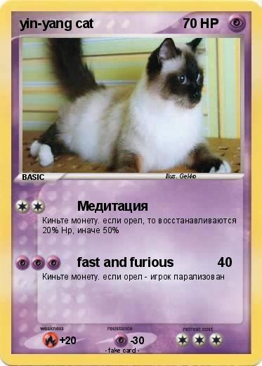 Pokemon yin-yang cat