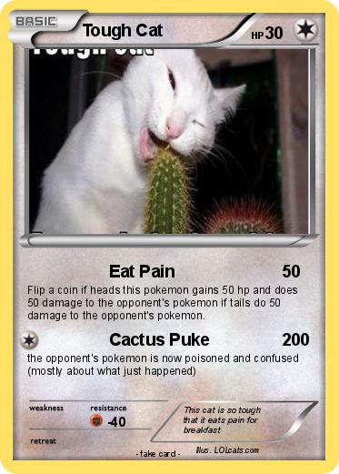 Pokemon Tough Cat