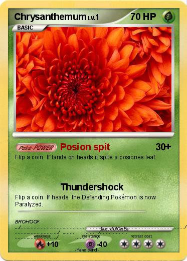 Pokemon Chrysanthemum