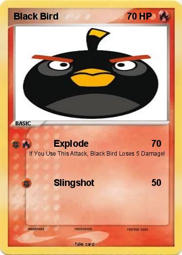 Pokemon Black Bird