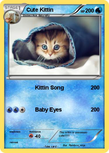 Pokemon Cute Kittin