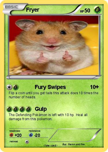 Pokemon Fryer
