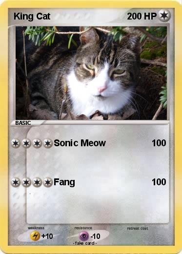Pokemon King Cat
