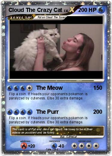 Pokemon Cloud The Crazy Cat