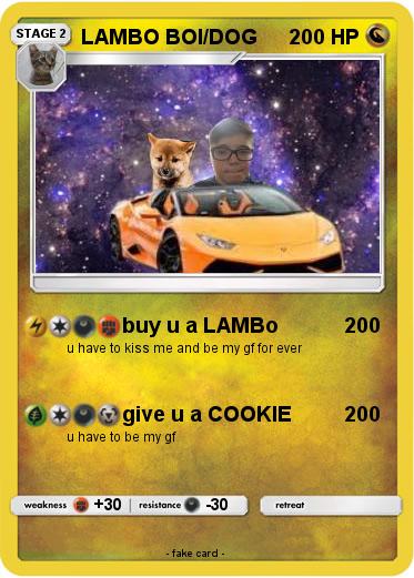Pokemon LAMBO BOI/DOG