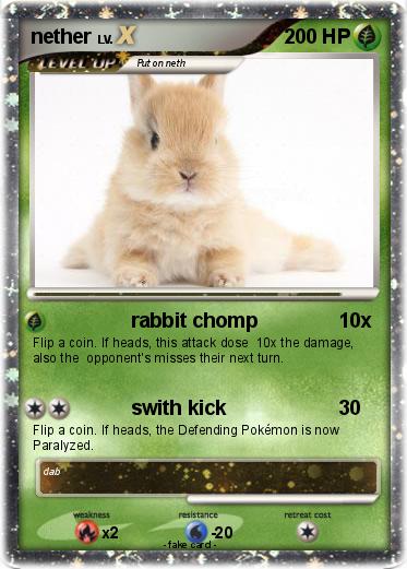 Pokemon nether