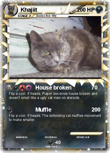 Pokemon Khajiit