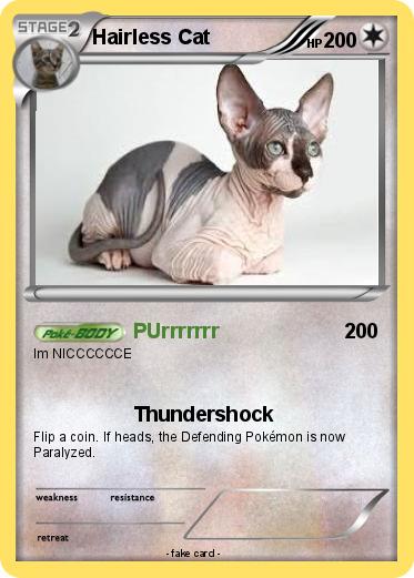 Pokemon Hairless Cat