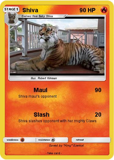 Pokemon Shiva