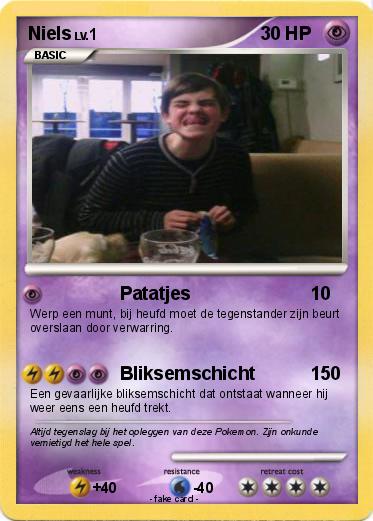 Pokemon Niels