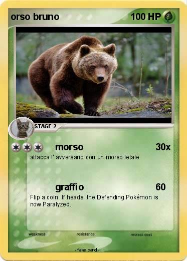 Pokemon orso bruno