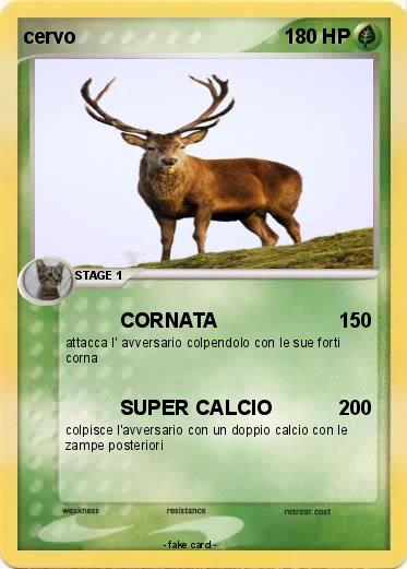 Pokemon cervo