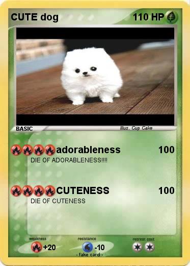 Pokemon CUTE dog