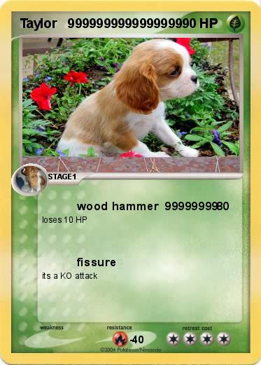 Pokemon Taylor   9999999999999999