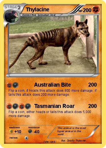 Pokemon Thylacine