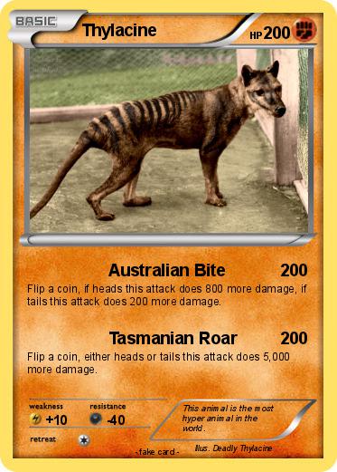 Pokemon Thylacine