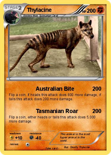 Pokemon Thylacine