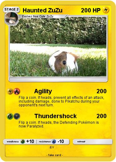 Pokemon Haunted ZuZu