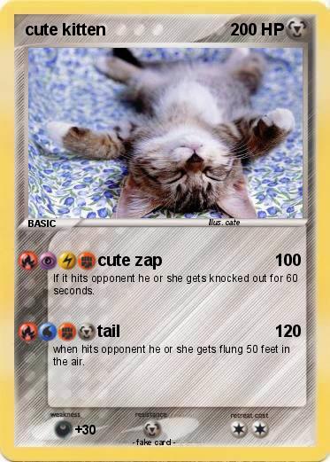 Pokemon cute kitten