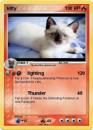 Pokemon kitty