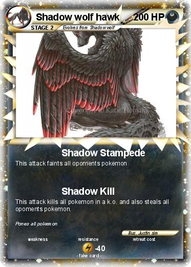 Pokemon Shadow wolf hawk