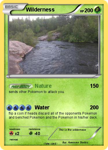 Pokemon Wilderness