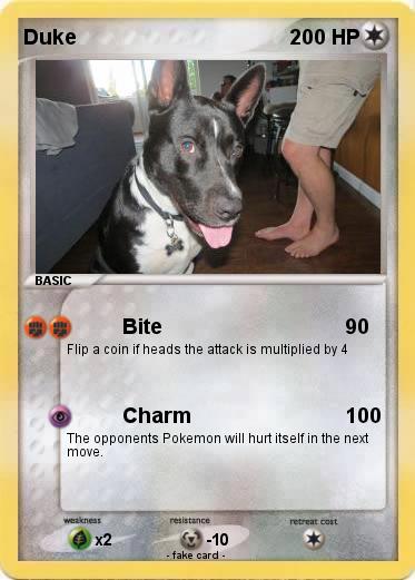 Pokemon Duke