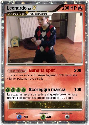 Pokemon Leonardo