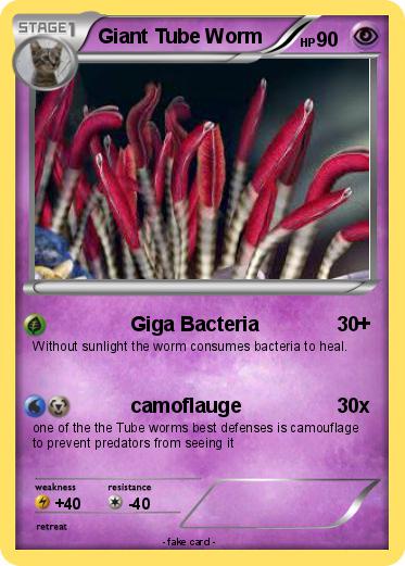 Pokemon Giant Tube Worm