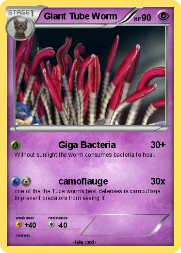 Pokemon Giant Tube Worm 1
