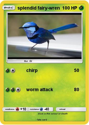 Pokemon splendid fairy-wren