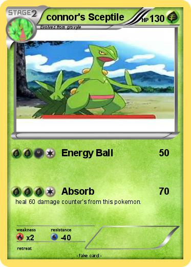 Pokemon connor's Sceptile