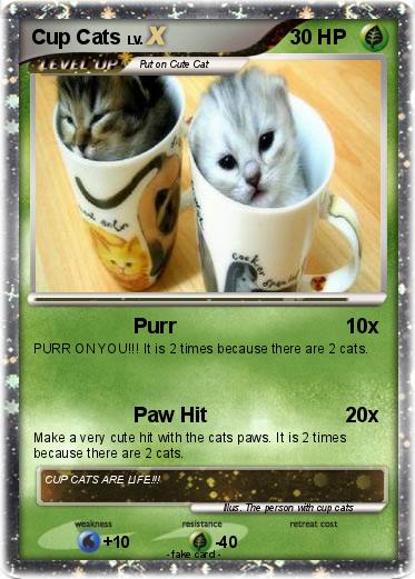 Pokemon Cup Cats