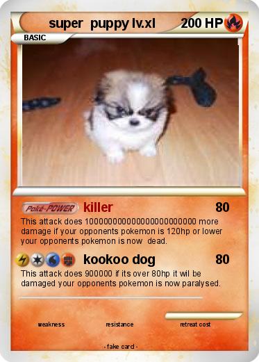 Pokemon super  puppy lv.xl