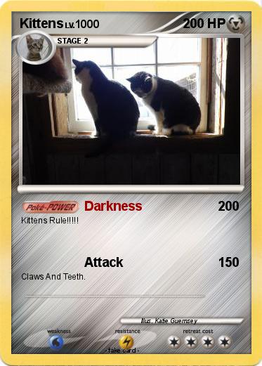 Pokemon Kittens