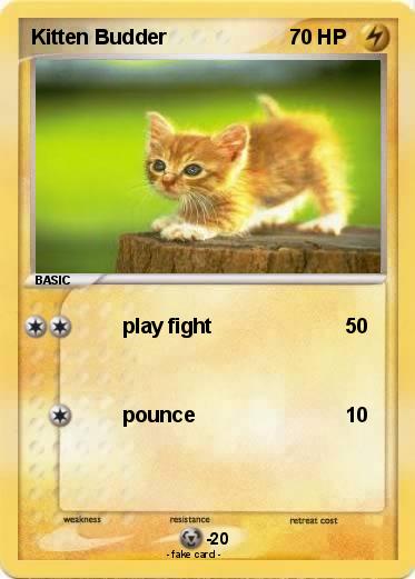 Pokemon Kitten Budder