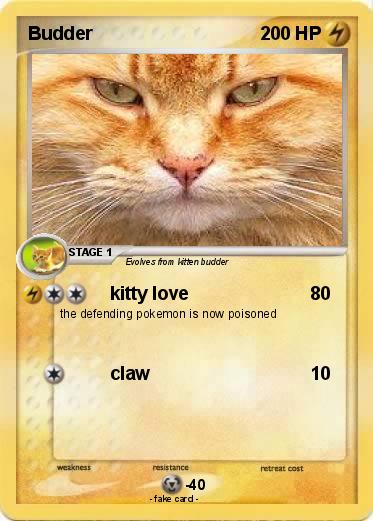 Pokemon Budder
