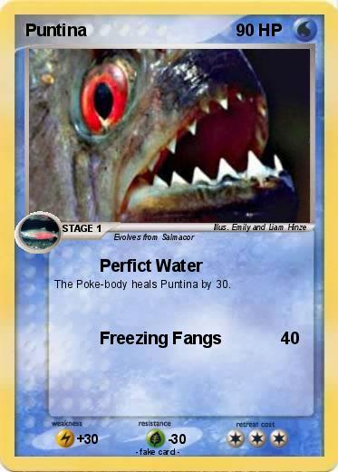 Pokemon Puntina