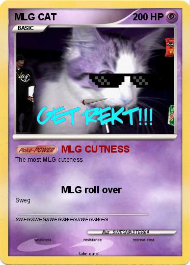 Pokemon MLG CAT