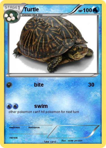 Pokemon Turtle